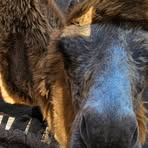 Profile Picture of Frederic Walter (@frederic.walter.965) on Facebook