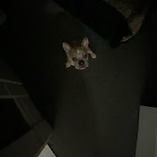 Profile Picture of Kenneth Santana (@kennethsantana9830) on Youtube