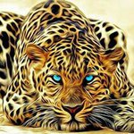 Profile Picture of Daryl Knox (@killerboy9870) on Instagram