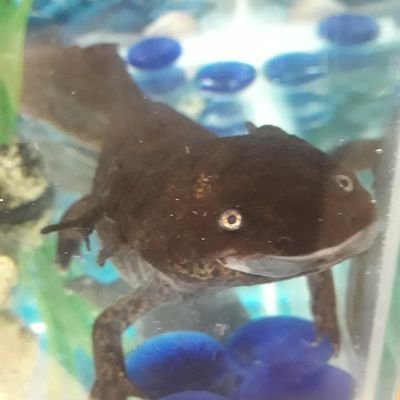 Profile Picture of Paul Olding (@drpaulolding) on Twitter