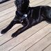 Profile Picture of John Havrilla (@john.havrilla.77) on Facebook