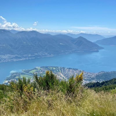 Profile Picture of Steven Korner (@KornerSteven) on Twitter