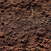 Profile Picture of David Tench (@david-tench) on Quora