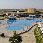 Profile Picture of Mudhurst (@mudhurstrex) on Instagram