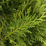 Profile Picture of Jim Busche Jr (@buschejr) on Instagram