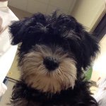 Profile Picture of Tony Exposito (@mrtony305) on Instagram