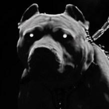 Profile Picture of Garrett Hinshaw (@hinshawpits) on Myspace