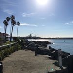 Profile Picture of Shauna Kearns (@shaunakearns2) on Instagram