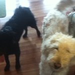 Profile Picture of Thomas Bourbon (@slayer2510) on Instagram