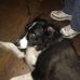 Profile Picture of Todd Prentice (@todd.prentice.73) on Facebook
