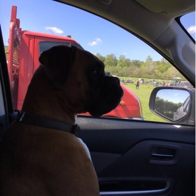 Profile Picture of Steve Coventry (@SteveCoventry2) on Twitter