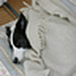 Profile Picture of Richard Cannon (@richard cannon) on Flickr