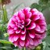 Profile Picture of Hans Neumann (@hans.neumann.520) on Facebook