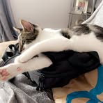 Profile Picture of Michelle Pinky Binnie (@Michelle-Pinky-Binnie) on Facebook