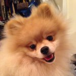 Profile Picture of Max Wheeler (@max_in_nyc) on Instagram