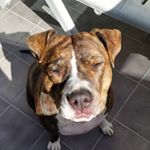 Profile Picture of ☠️ richard ☠️ (@paaolorizzi) on Instagram