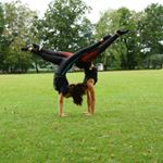 Profile Picture of emma (@amy_grape) on Instagram
