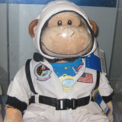 Profile Picture of Beverly McBrian (@BeverlyMcBrian) on Twitter