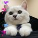 Profile Picture of Yuk Fong Yuen (@kyfyuen) on Pinterest