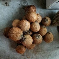 Profile Picture of Phyllis Machado (@phyllis-machado) on Quora