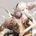 Profile Picture of William Seto (@william.seto.3110) on Facebook