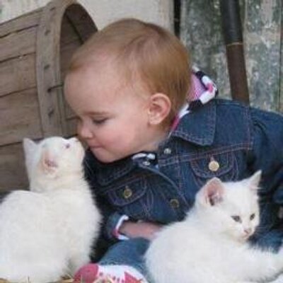 Profile Picture of Terry Keefer (@Terrykeefer1) on Twitter