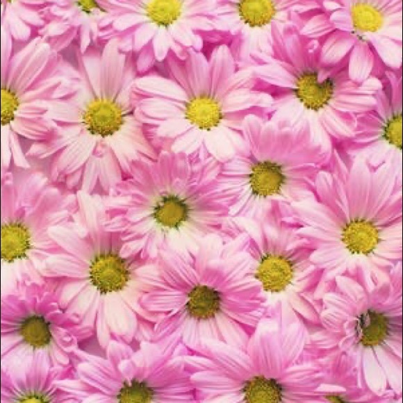 Profile Picture of Nadia Silva (@nalisa04) on Poshmark