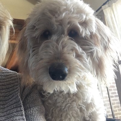 Profile Picture of Alecia Cox (@AleciaCox20) on Twitter