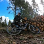 Profile Picture of Daniel Voss (@daniel__voss) on Instagram