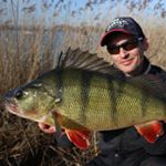 Profile Picture of Patrick Marrable (@patrick_marrable) on Instagram