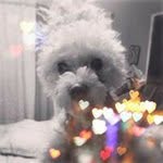 Profile Picture of Alicecau (@caudilloalicia) on Instagram