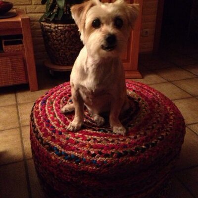 Donald Duck - Twitter Profile Picture of Donald Duck (@KarlHeinzHeinen) on Twitter