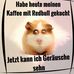 Profile Picture of Ralph Menge (@ralph.menge.14) on Facebook