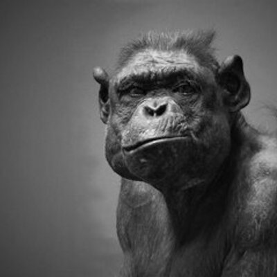 Profile Picture of Adam Billing (@adambilling04) on Twitter