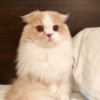 Profile Picture of Jimmy Ip (@jimmy-ip-9) on Quora