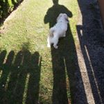 Profile Picture of Karl Plank (@karlplank) on Instagram