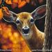 Profile Picture of Crista Forest Wildlife Art (@csforest) on Pinterest