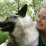 Profile Picture of Ashly Erickson (@asheronipony) on Instagram