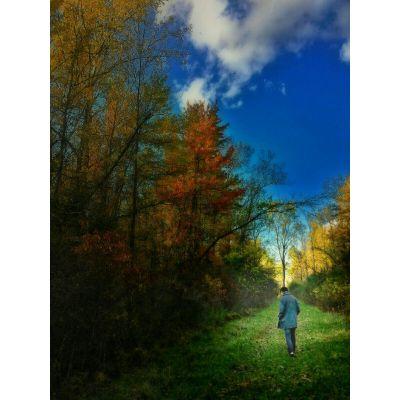 Profile Picture of Andrew Calkins (@ACalkins4) on Twitter