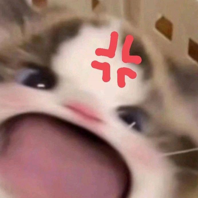 Profile Picture of tkimcutis1👽 (@tk_310712) on Tiktok