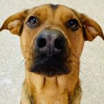 Profile Picture of Derek Hyman Consulting (@derekhymanconsulting) on Instagram