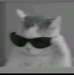 Profile Picture of Andrè Carpio Tapullima (@andre.carpiotapullima) on Facebook