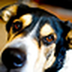 Profile Picture of Sam Price (@Sam.B.Price) on Flickr