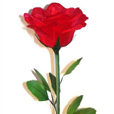 Profile Picture of Jannette Maria Smith (@HawaiianGherl) on Twitter