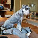 Profile Picture of joseph wallin (@joseph.wallin) on Instagram