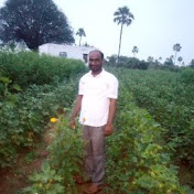 Profile Picture of Mahesh Utlapalli (@maheshutlapalli4161) on Youtube