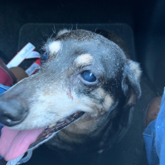 Profile Picture of Janet Mcilwain (@janetmcilwain09) on Poshmark