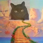 Profile Picture of Martin Strebinger (@creart63) on Instagram