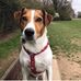 Profile Picture of John Durrant (@john.durrant.370) on Facebook