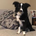 Profile Picture of Brandy Bailey (@b_bailey369) on Instagram